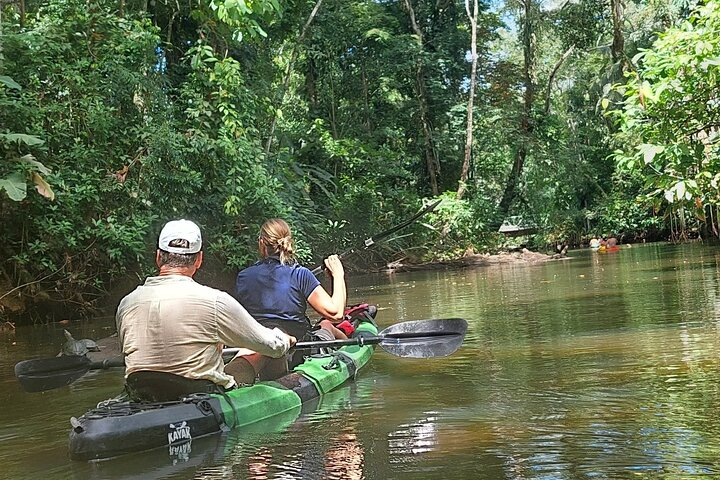 Guided Kayaking Tour to Punta Uva River with Nature and Swimming - Photo 1 of 10